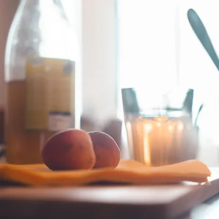 Le Gamay 6 Personnes Appartement Tours