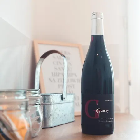 Le Gamay 6 Personnes Apartamento *