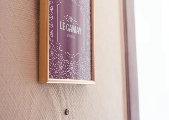 Le Gamay 6 Personnes * Tours