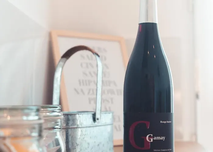 Le Gamay 6 Personnes Apartament *